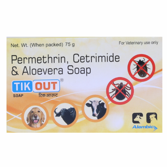 TIKOUT SOAP
