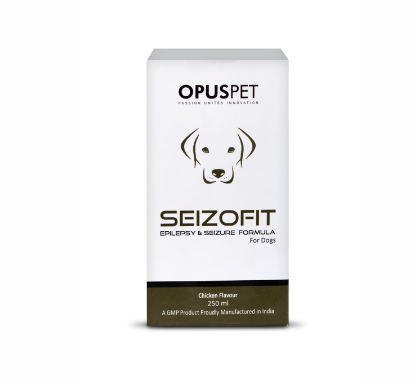 	SEIZOFIT FRONT 