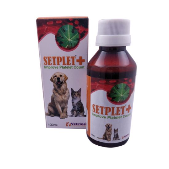 Setplet Plus 100ml	 FRONT 