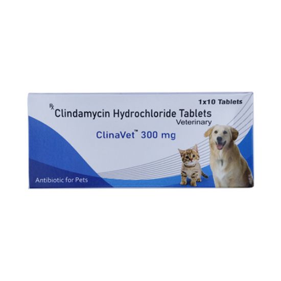 CLINAVET -300 MG	 FRONT 