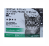 FRONTLINE PLUS CATS FRONT