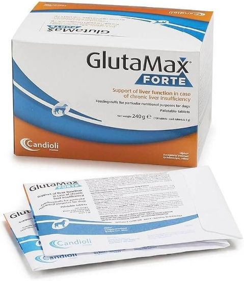 GLUTAMAX FORTE DOGS 120TAB 18%	