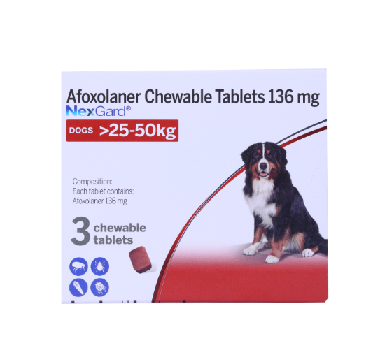 NEXGARD XL (25-50kg)	front 