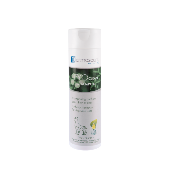 PYO CLEAN SHAMPOO 200ml	
