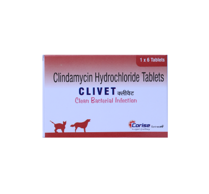 CLIVET 300MG FRONT 