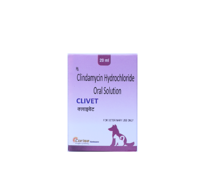 CLIVET SUSP	FRONT