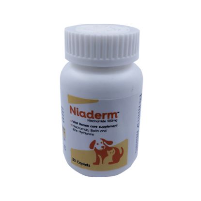 NIADERM 500 MG FRONT 