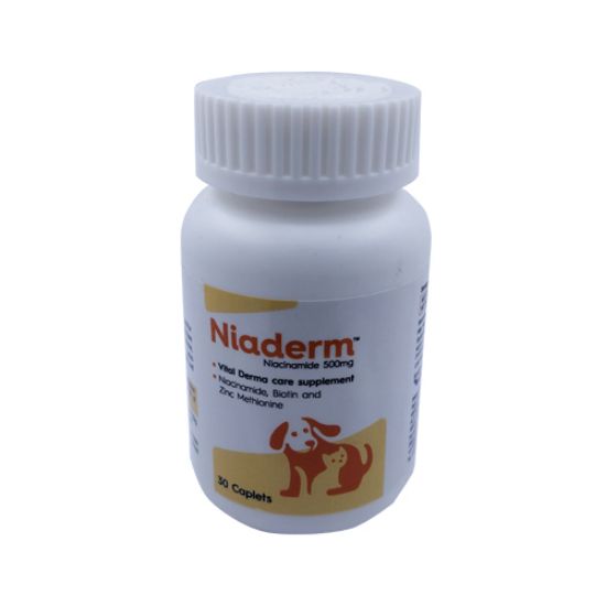 NIADERM 500 MG FRONT 