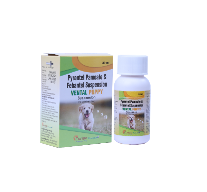 VENTAL PUPPY	