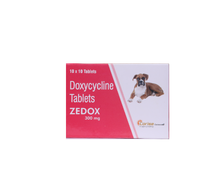 ZEDOX 300MG	