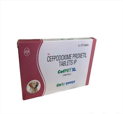 CEFPET XL TAB	