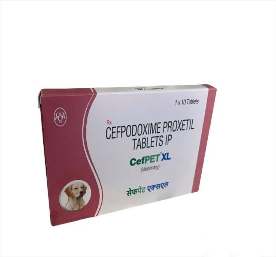 CEFPET XL TAB	