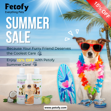 Picture for category Summer Sale Starts Now!