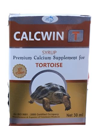  CALCWIN-T TORTOISE