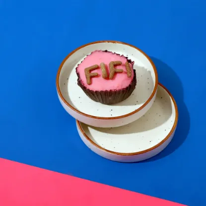 Close View of Wiggles N' Nibbles Cupcake FIFI